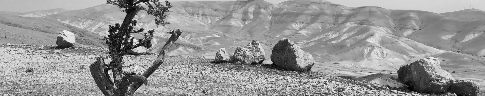 Joshua-Top Joshua-Top