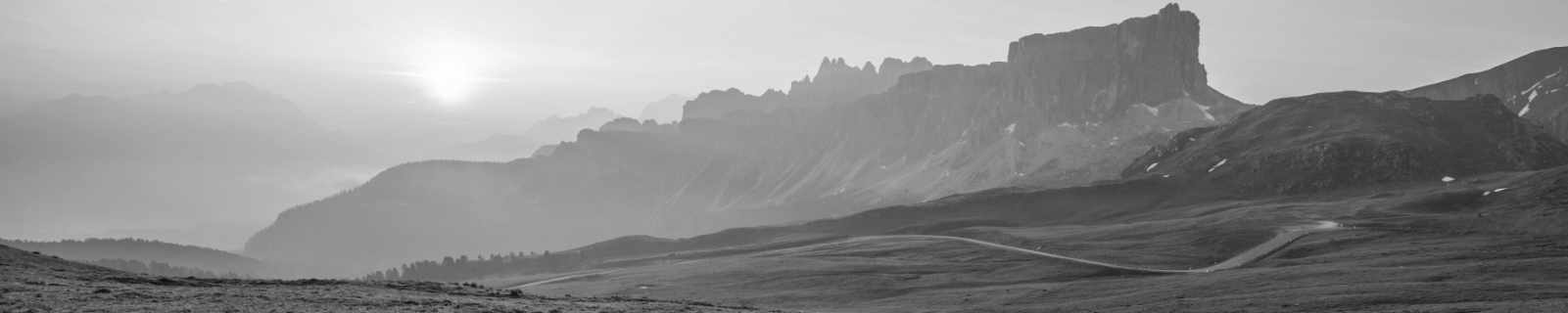 Nehemiah-Top Nehemiah-Top