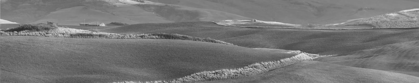 Romans-Top Romans-Top